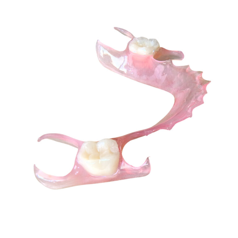 Flexible Denture Two Teeth