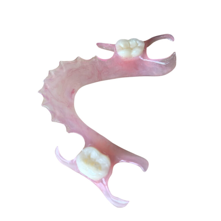 Flexible Denture Two Teeth