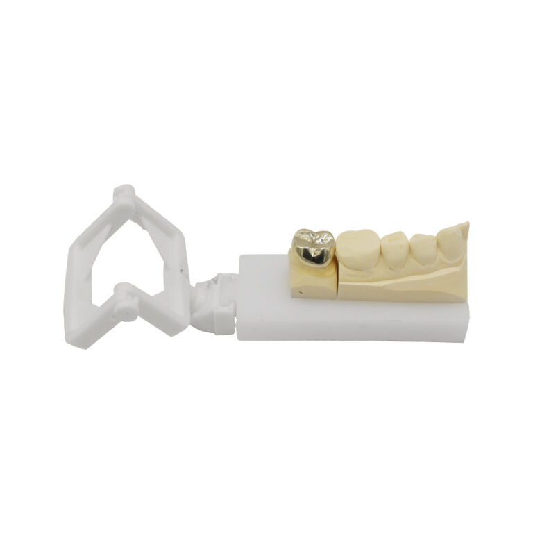 PFM Crown Molar