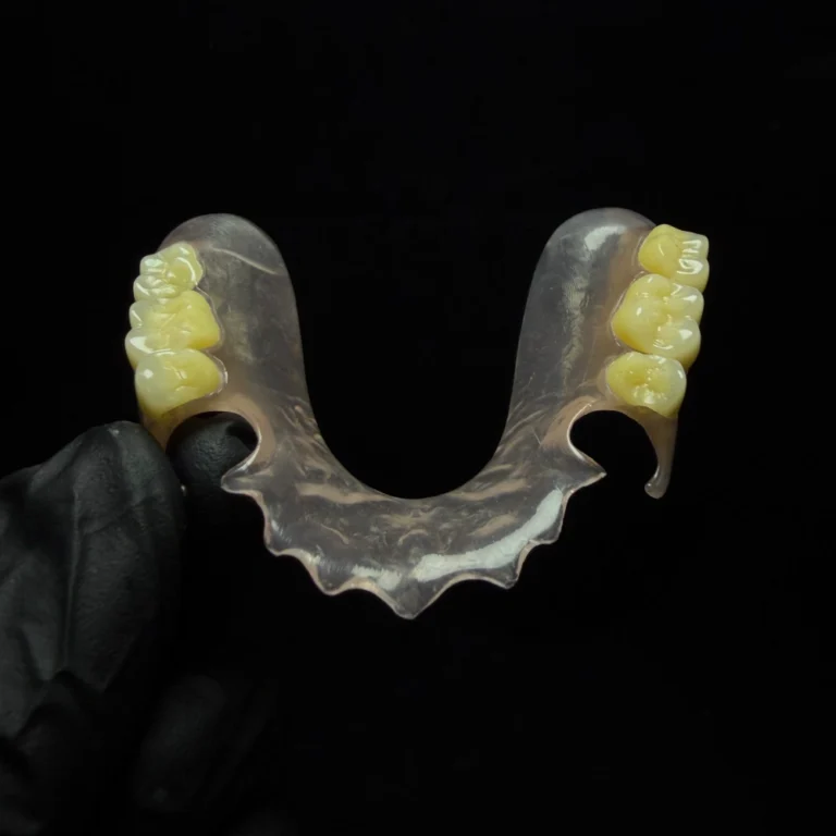 Valplast Denture Case (1)